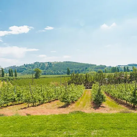 Agroturismo Monte Da Varzea Da Rainha *