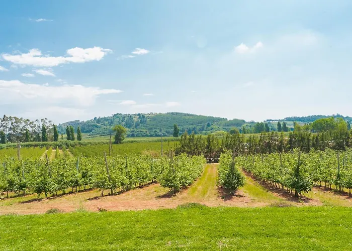 Bauernhof Monte Da Varzea Da Rainha *